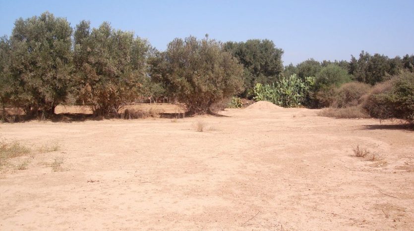 vente terrain maroc particulier Souss Massa